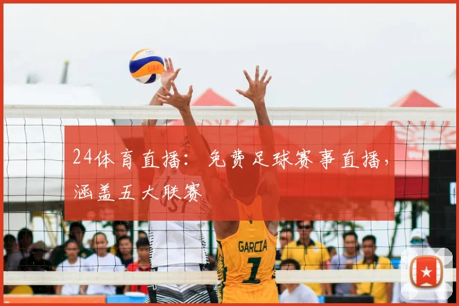 24体育直播：免费足球赛事直播，涵盖五大联赛