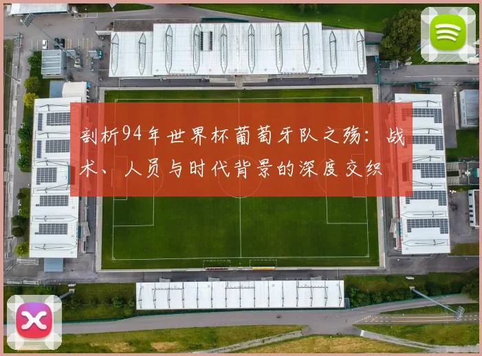 剖析94年世界杯葡萄牙队之殇:战术、人员与时代背景的深度交织