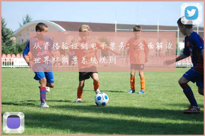 从资格验证到电子票务：全面解读世界杯购票系统规则