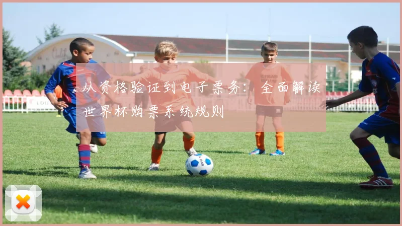 从资格验证到电子票务：全面解读世界杯购票系统规则