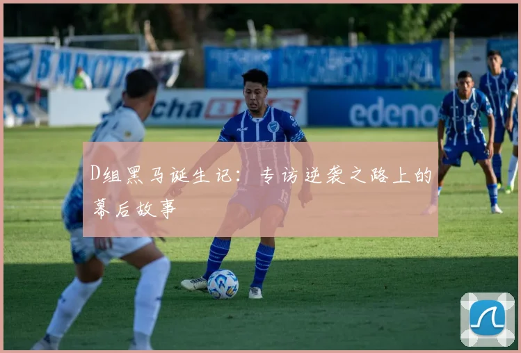 D组黑马诞生记:专访逆袭之路上的幕后故事