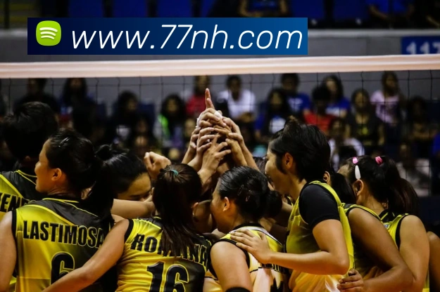 mksports足球赛程品牌故事